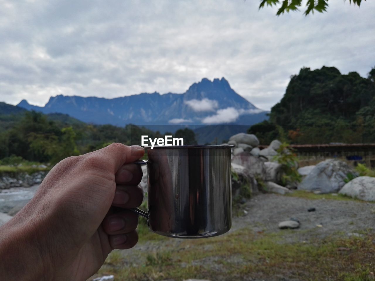 Cropped hand holding mug over field against cloudy sky