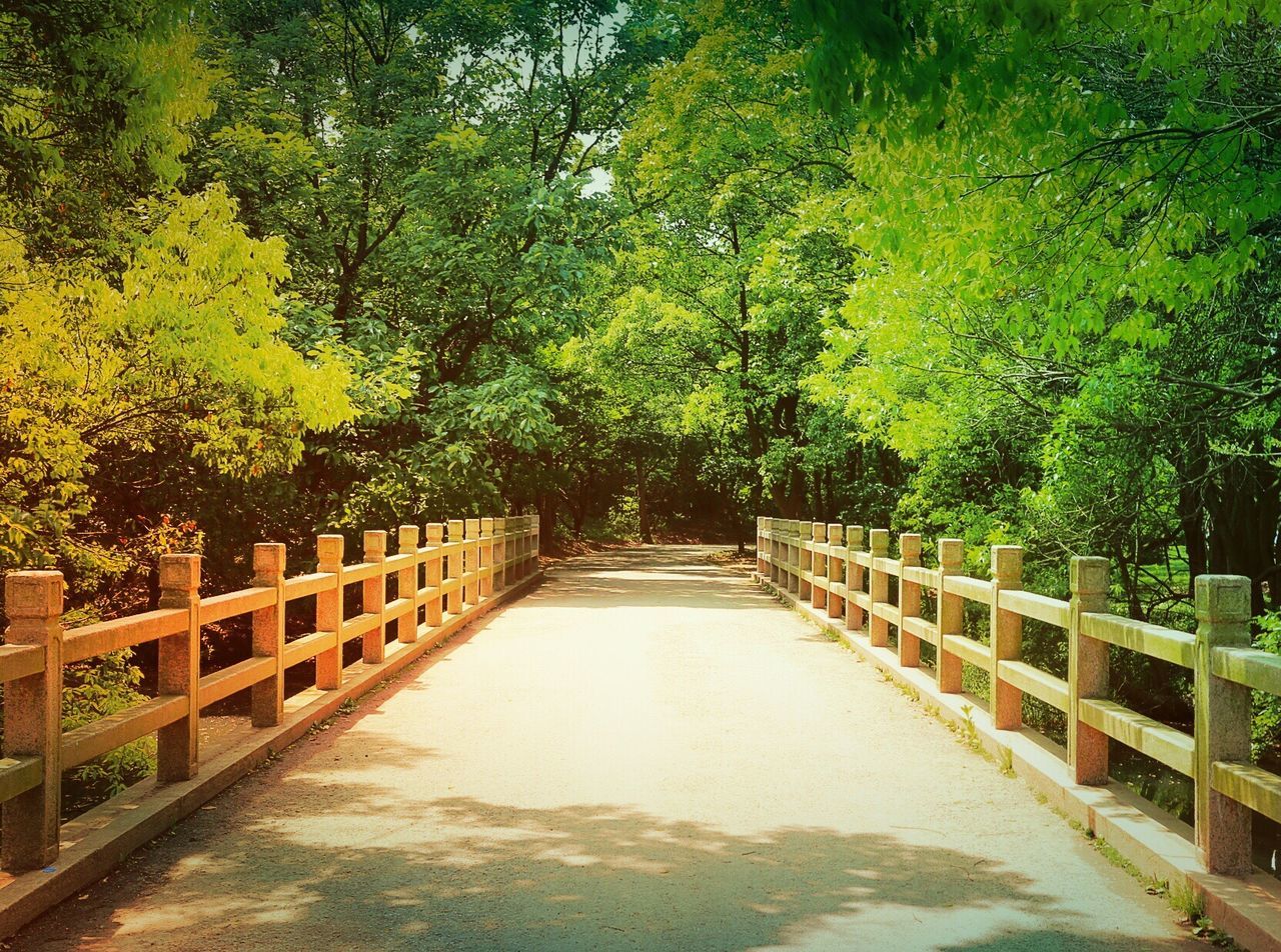 VIEW OF FOOTBRIDGE