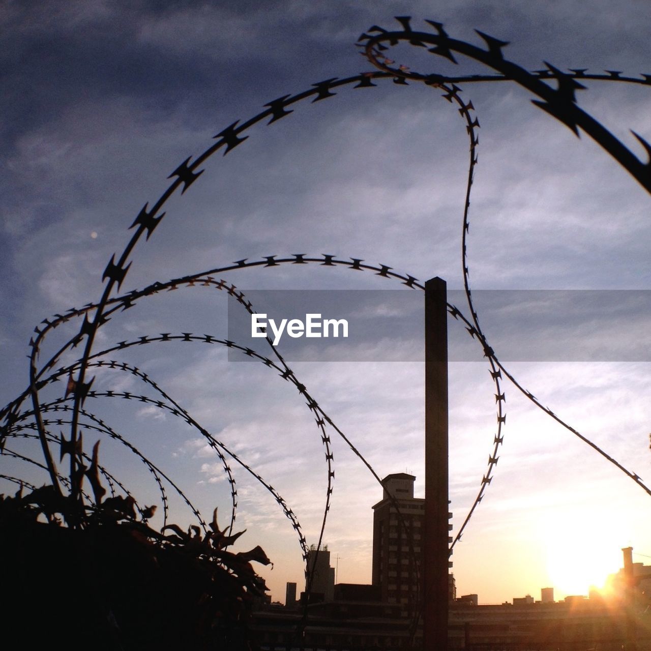 Low angle view of silhouette razor wire against sky during sunset