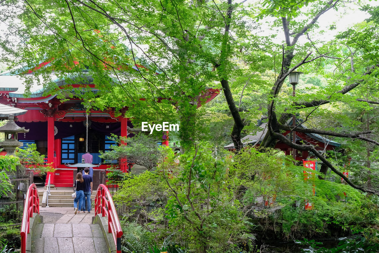 Rear view of people walking by trees against temple