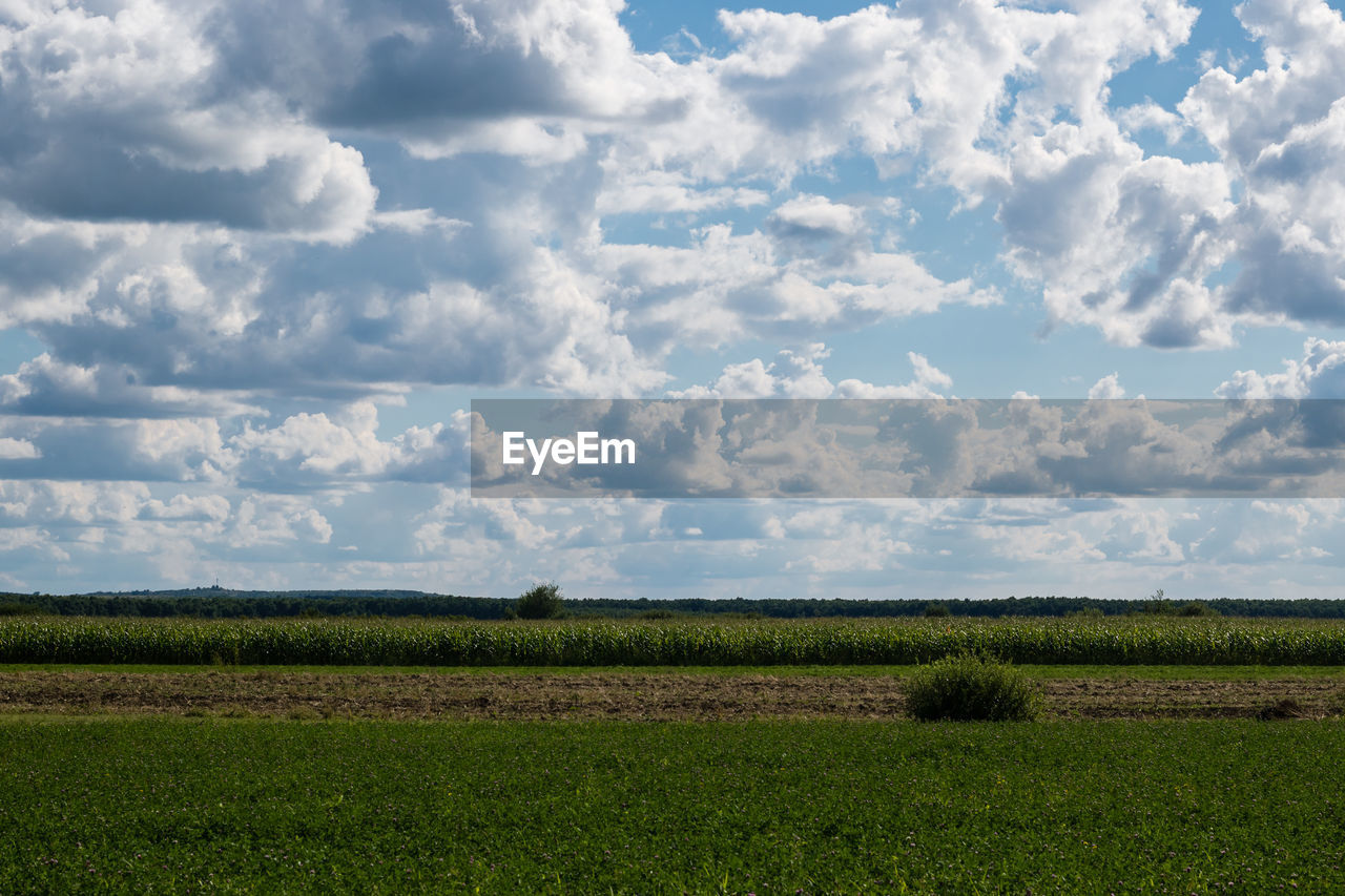 Scenic view of field against cloudy sky