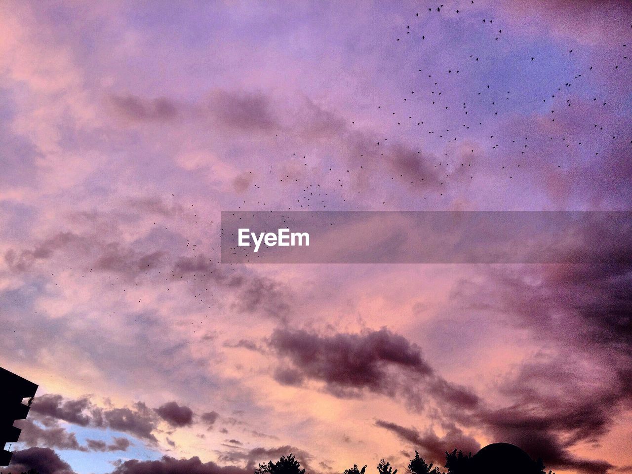 LOW ANGLE VIEW OF CLOUDY SKY DURING SUNSET