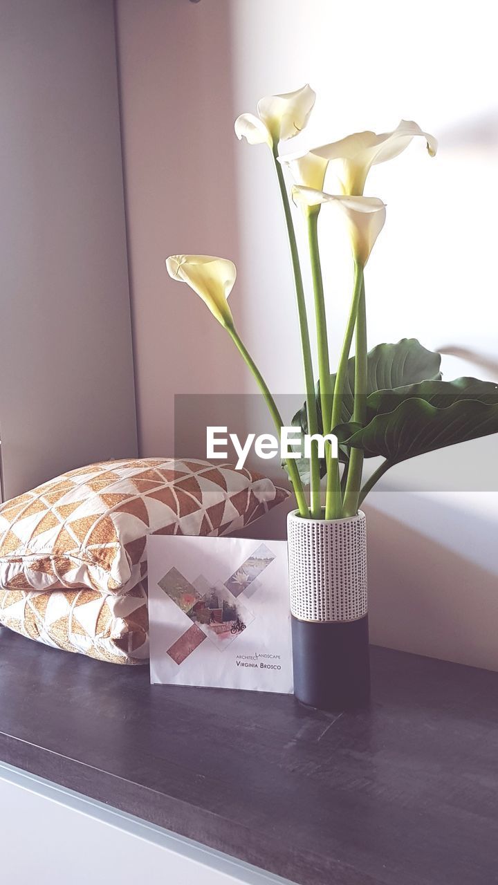 CLOSE-UP OF WHITE FLOWER VASE ON TABLE AT HOME