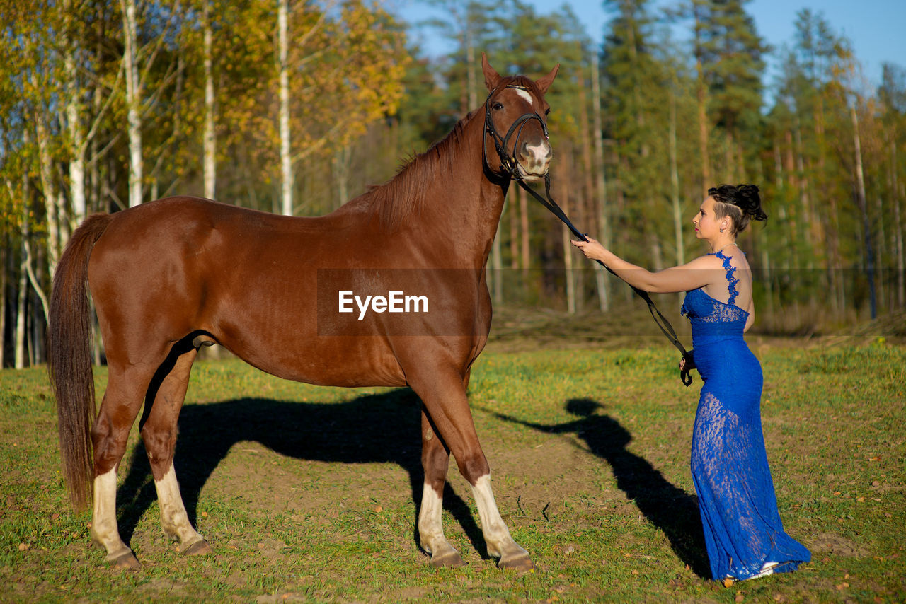 Side view full length of woman standing by horse at forest