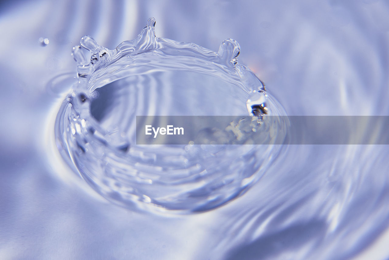 drop, water, rippled, blue, splashing, motion, nature, close-up, macro photography, no people, falling, freezing, concentric, freshness, purity, wave, petal, azure, backgrounds, indoors, selective focus, reflection, splashing droplet, impact, studio shot