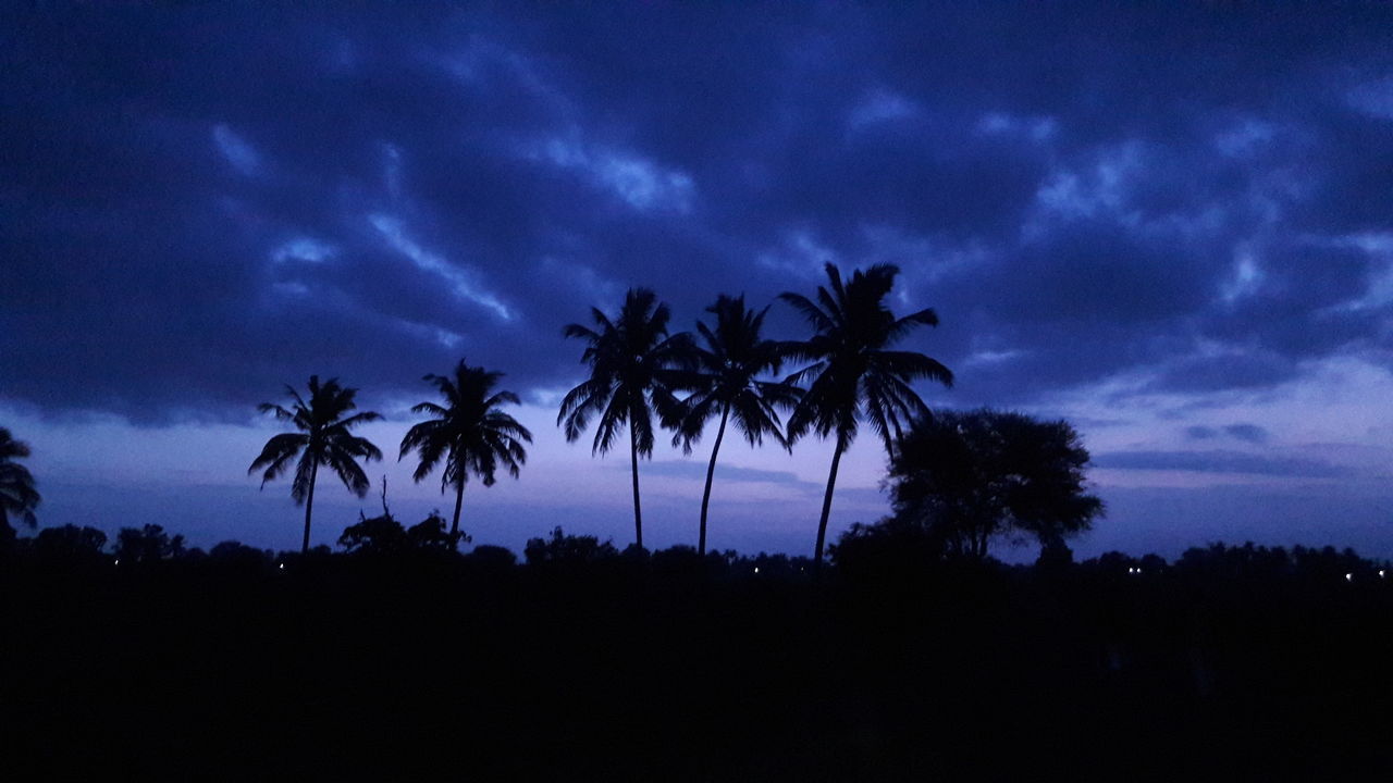 LOW ANGLE VIEW OF SILHOUETTE PALM TREES AGAINST SKY