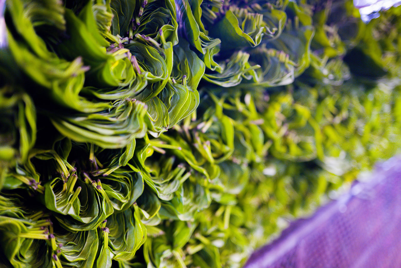 Rolled leafy greens in the market stall