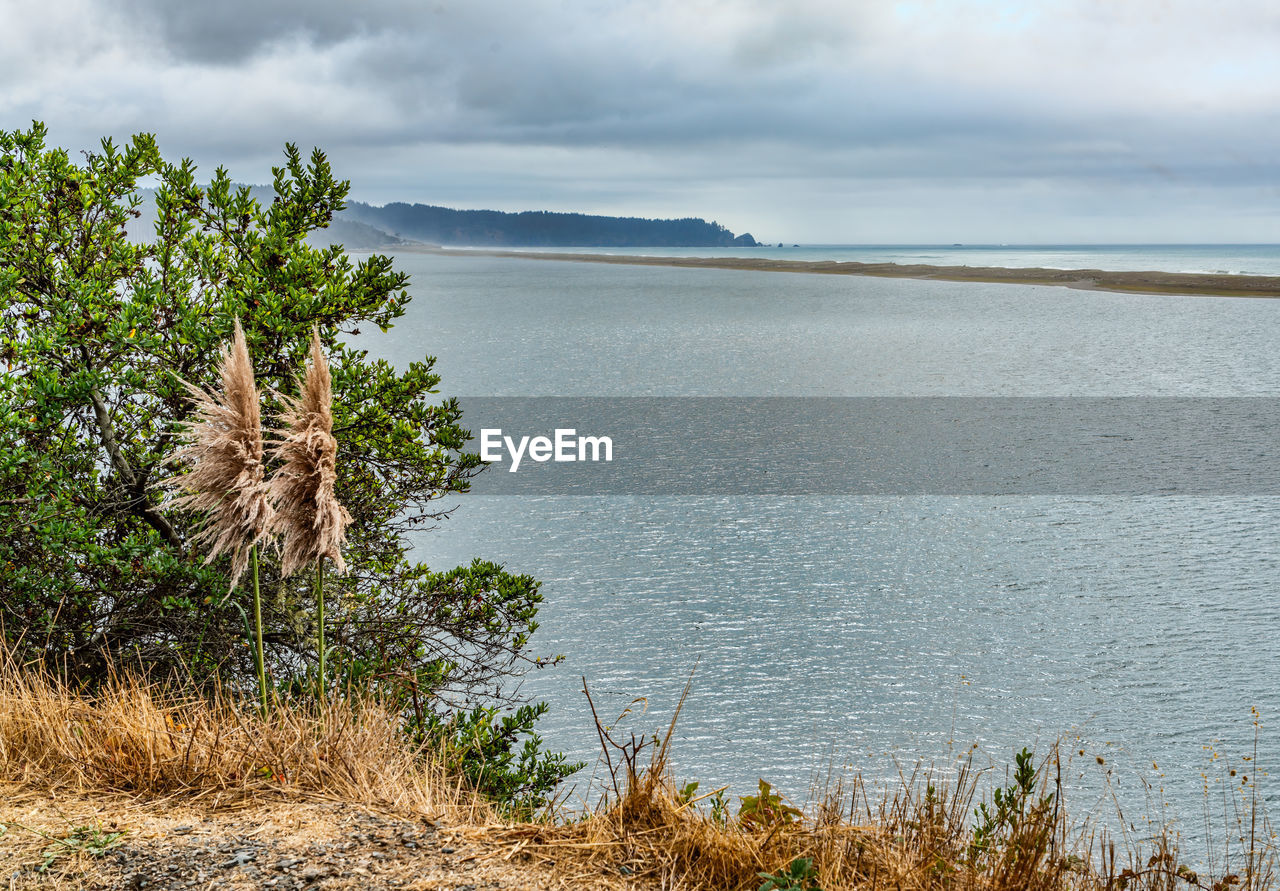 water, sky, shore, nature, cloud, sea, coast, land, plant, scenics - nature, beauty in nature, environment, landscape, beach, body of water, tranquility, tranquil scene, travel destinations, tree, no people, travel, tourism, natural environment, non-urban scene, coastline, outdoors, day, ocean, idyllic, bay, dramatic sky, vacation, trip, overcast, grass, sand, holiday, cloudscape, wilderness, social issues, island, reservoir, horizon, mountain, seascape