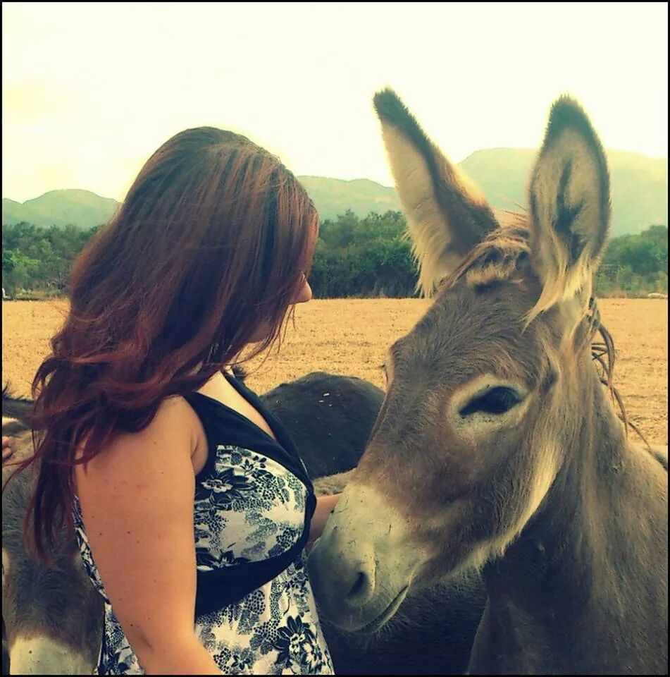 Side view of young woman petting donkey on field