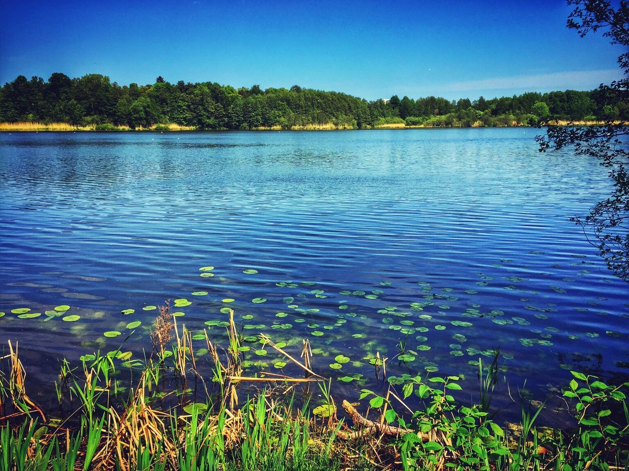 TRANQUIL SCENE OF CALM LAKE