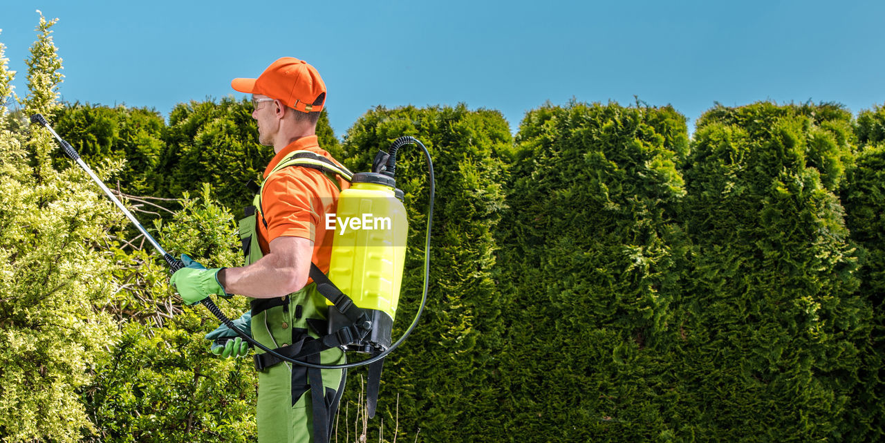 Man spraying insecticide on plants on sunny day