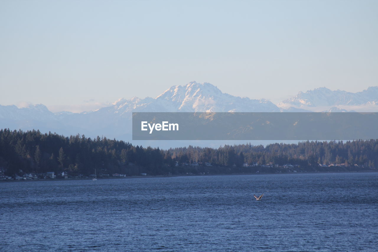 SCENIC VIEW OF LAKE AGAINST CLEAR SKY