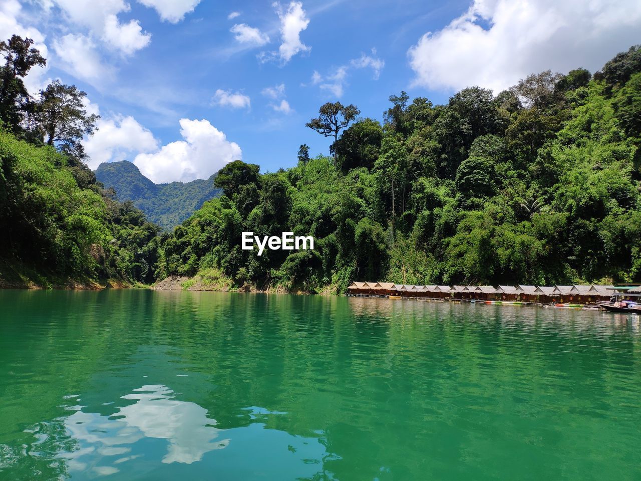 Scenic view of lake by trees against sky