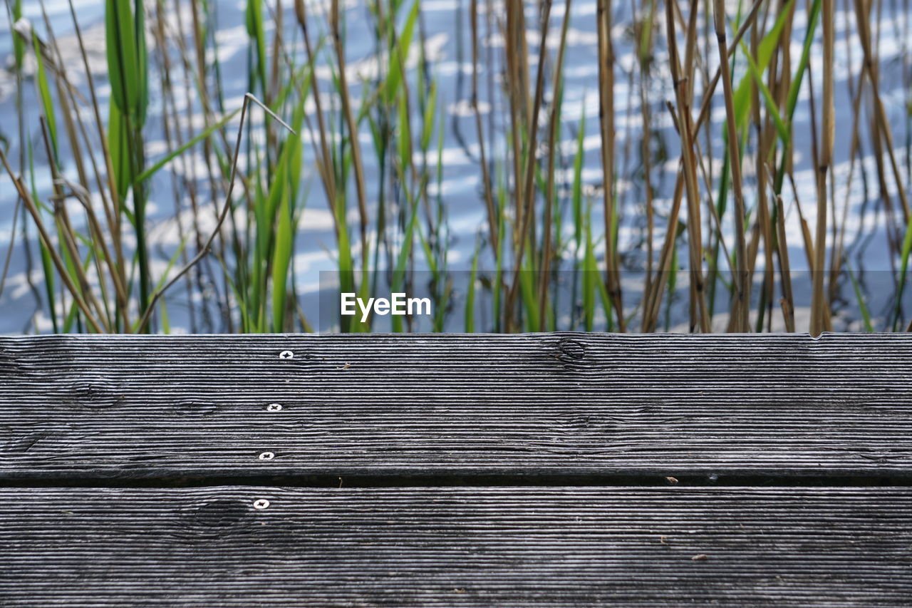 Wooden fence against plants