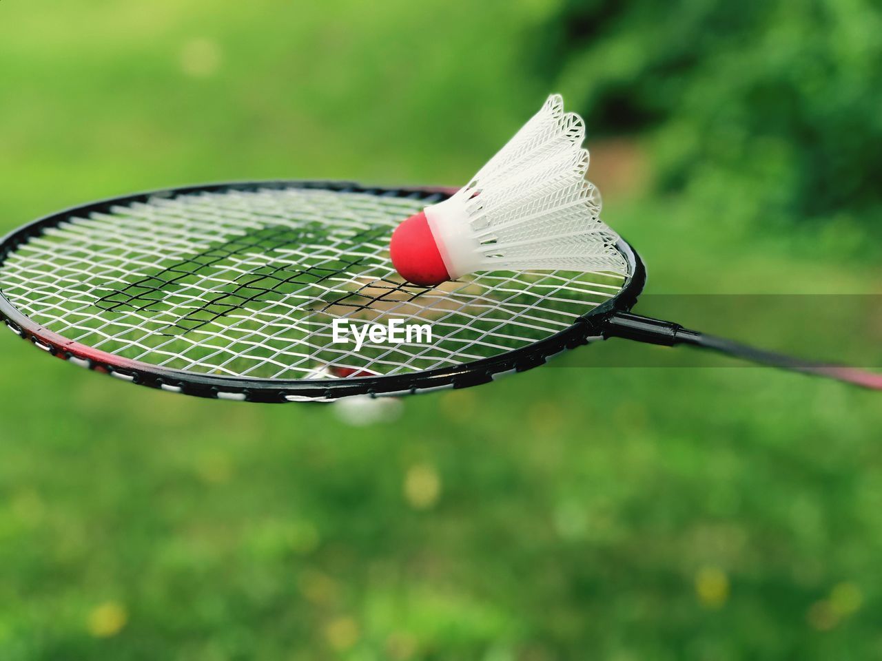Close-up of shuttlecock on badminton racket in yard
