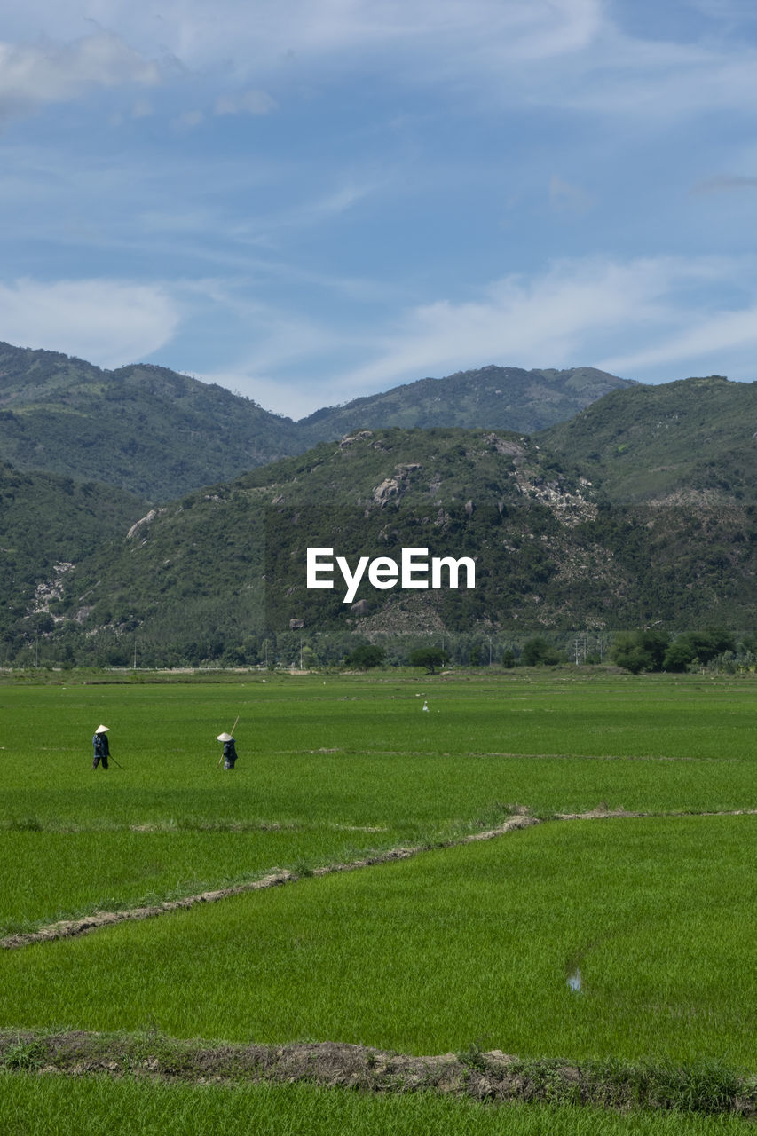 SCENIC VIEW OF GRASSY FIELD AGAINST MOUNTAINS