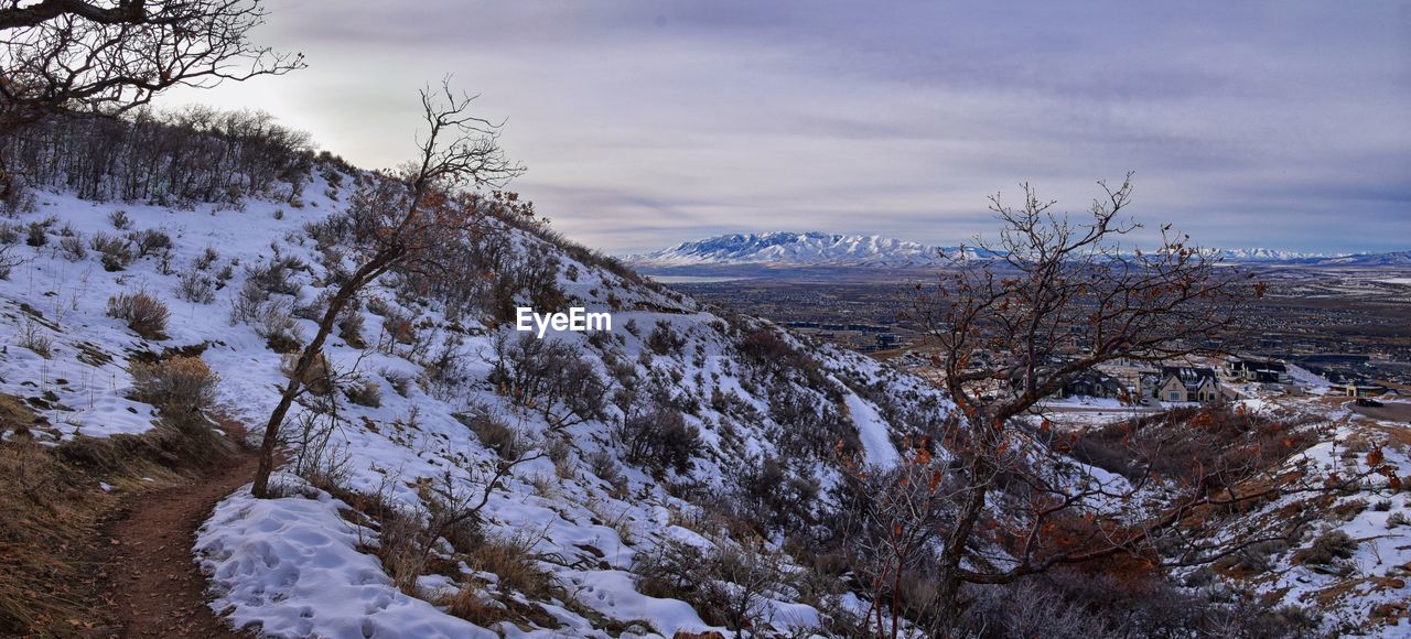 snow, winter, cold temperature, environment, tree, landscape, scenics - nature, sky, plant, mountain, cloud, beauty in nature, nature, wilderness, forest, pinaceae, coniferous tree, land, pine tree, snowcapped mountain, pine woodland, ridge, travel, frozen, tranquility, no people, travel destinations, mountain range, tranquil scene, tourism, woodland, non-urban scene, ice, polar climate, outdoors, frost, white, blue, freezing, overcast, fog, valley, day, rural scene