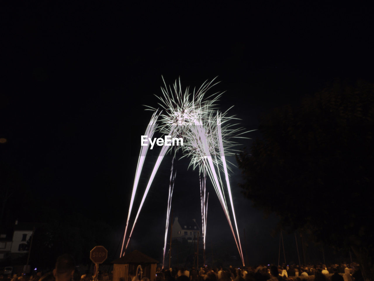 fireworks, celebration, night, event, illuminated, firework display, arts culture and entertainment, motion, exploding, recreation, firework - man made object, sky, long exposure, nature, new year's eve, outdoors, glowing, architecture, group of people, dark