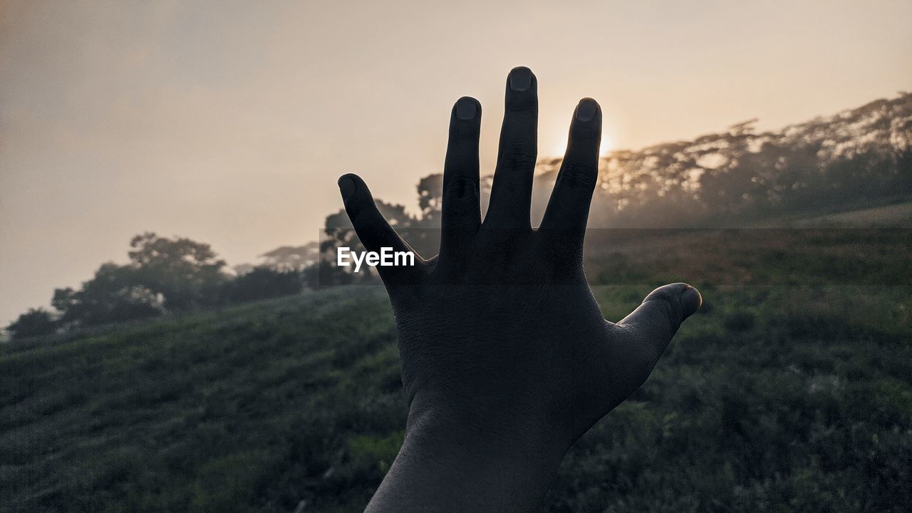 CLOSE-UP OF PERSON HAND AGAINST SKY DURING SUNSET