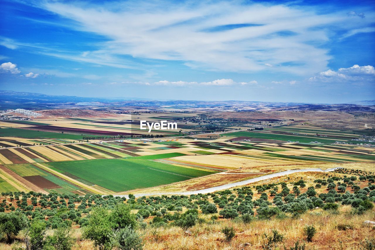 Scenic view of agricultural field against sky