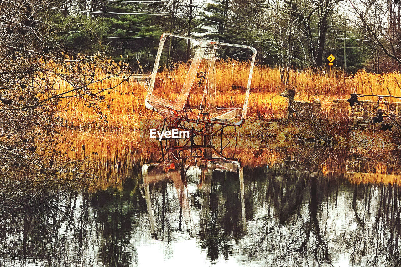 REFLECTION OF BARE TREES IN LAKE AT FOREST