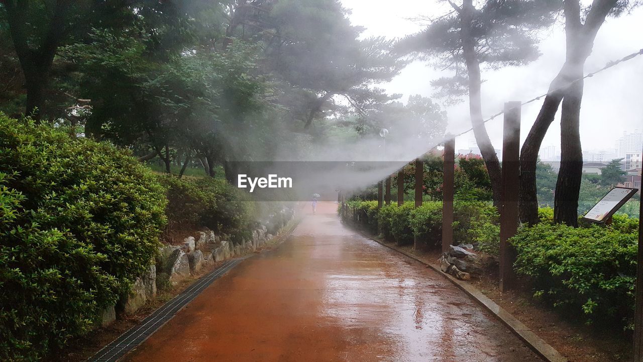 WALKWAY AMIDST PLANTS AGAINST SKY