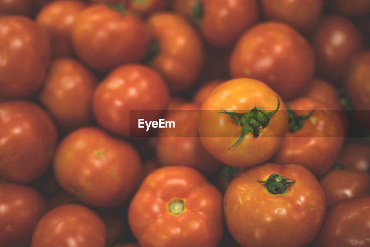 FULL FRAME SHOT OF TOMATOES