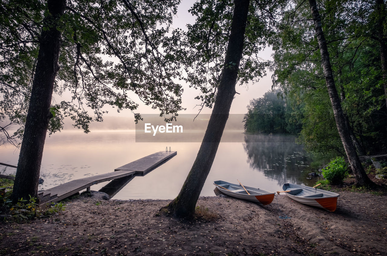 BOATS MOORED ON SHORE AGAINST TREES