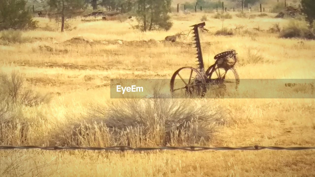 VIEW OF BICYCLE ON LANDSCAPE