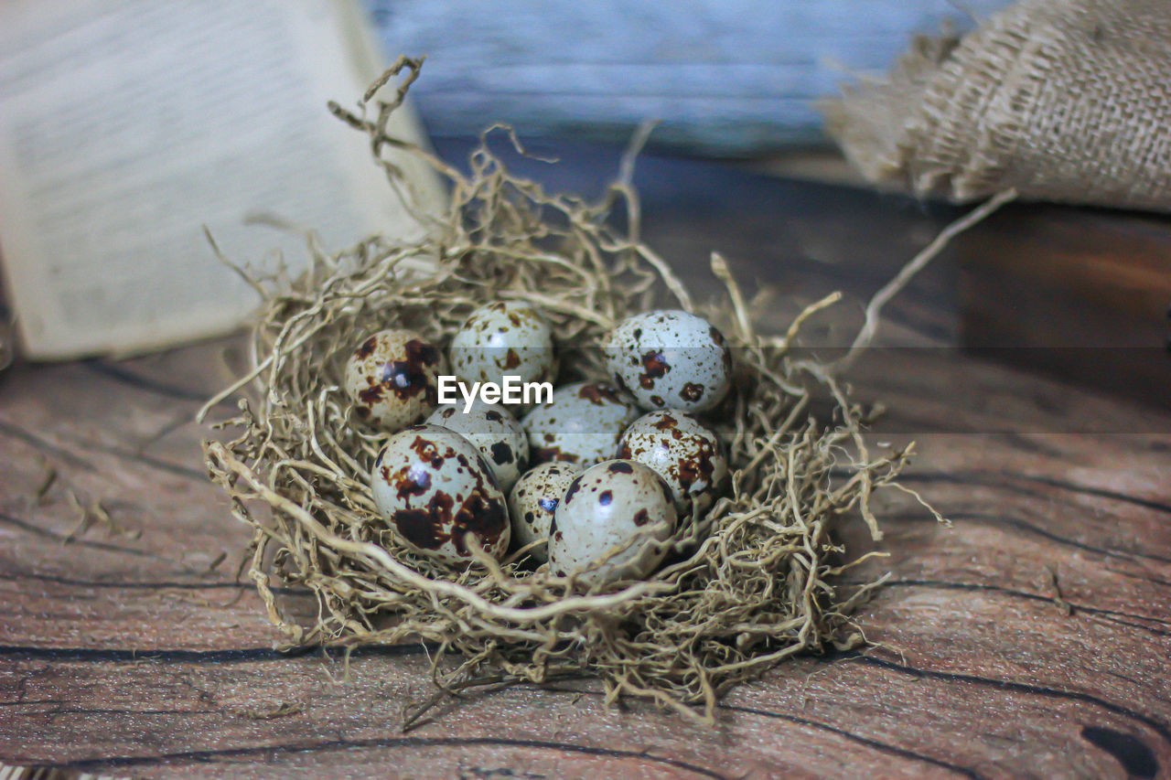 High angle view of eggs in nest on table