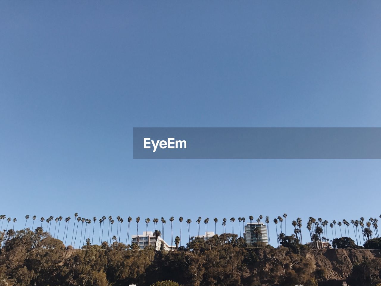 PANORAMIC VIEW OF CLEAR BLUE SKY AND TREES