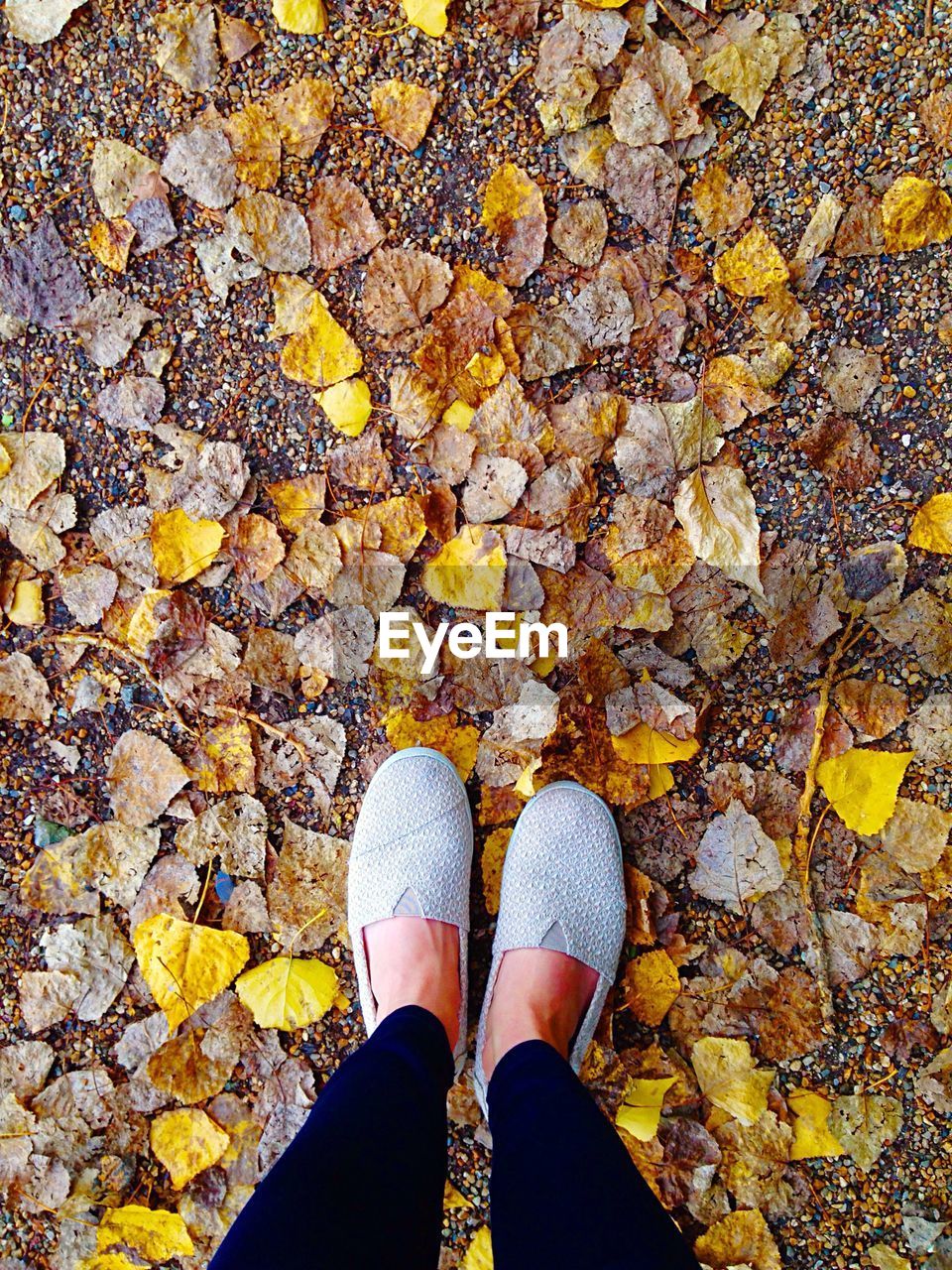 Low section of woman standing on autumn leaves