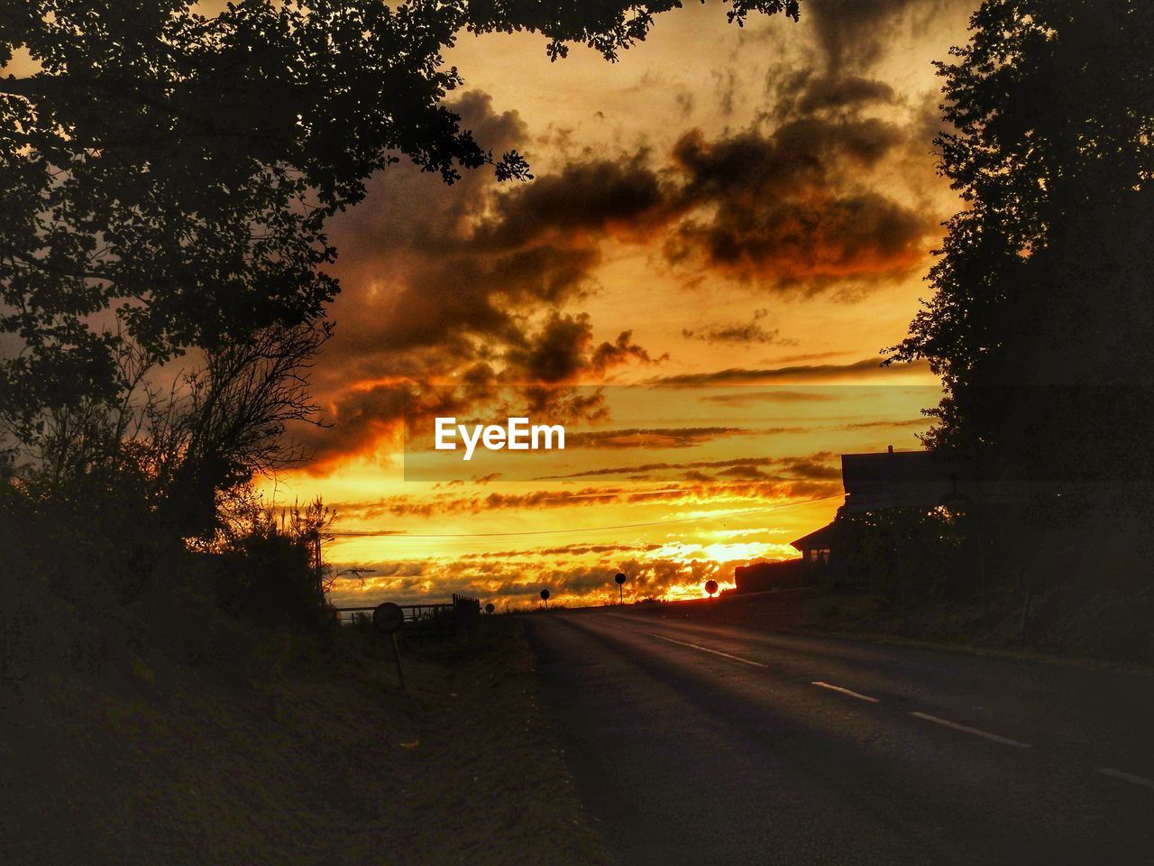SILHOUETTE TREES BY ROAD AGAINST ORANGE SKY