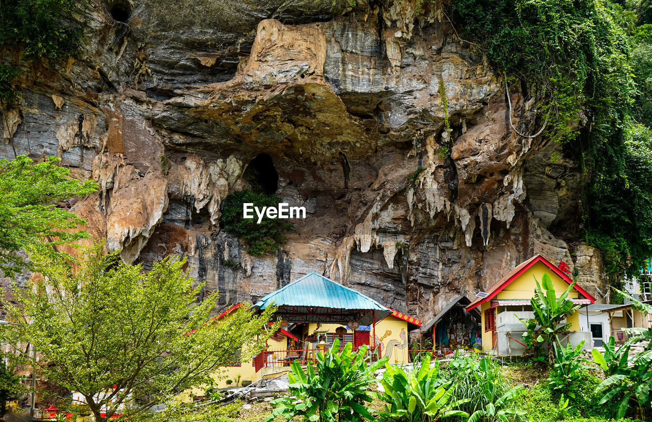 plant, architecture, tree, built structure, nature, cave, jungle, building, building exterior, rock, land, no people, day, beauty in nature, house, travel destinations, rock formation, outdoors, growth, village, travel, mountain, tranquility, flower, non-urban scene, hut