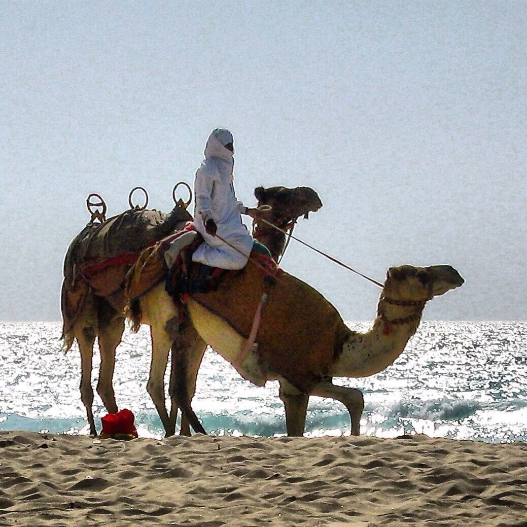 Man on camel at desert against sea