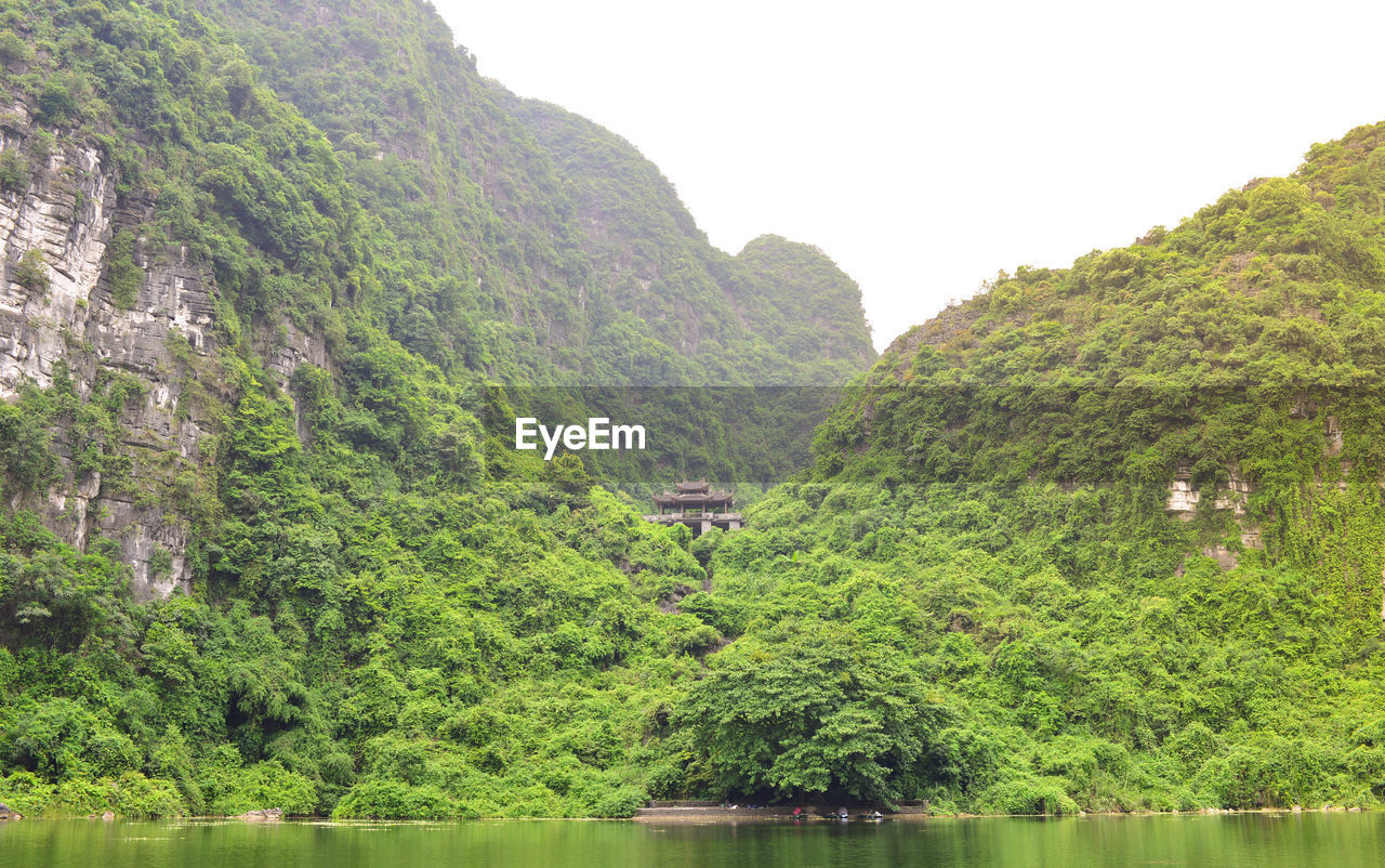 SCENIC VIEW OF RIVER AMIDST TREES AND MOUNTAINS