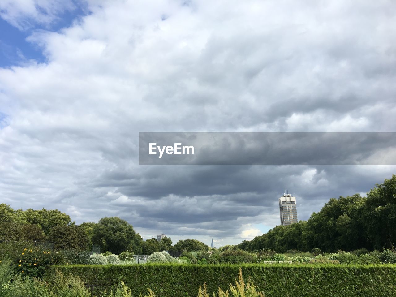 SCENIC VIEW OF GREEN LANDSCAPE AGAINST SKY