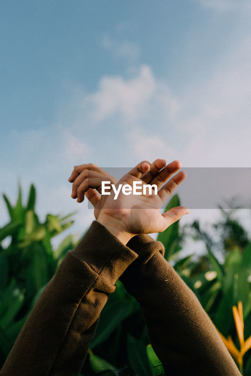 Close-up of hand against plants and sky