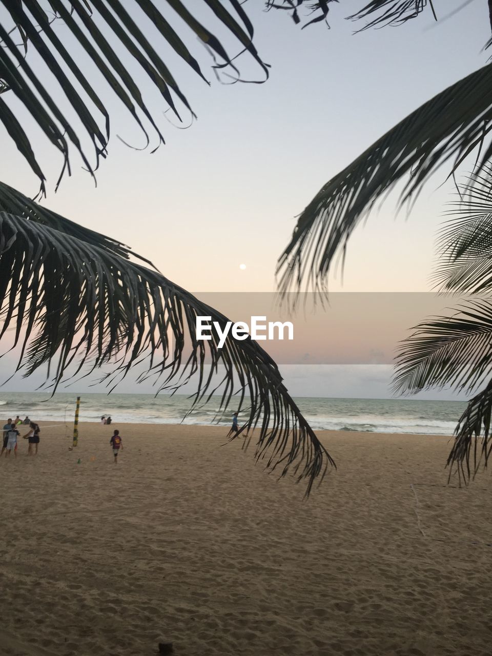 SCENIC VIEW OF BEACH DURING SUNSET