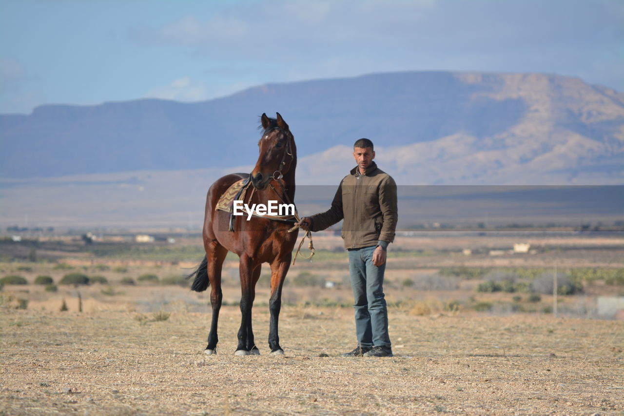 A horse standing on field.