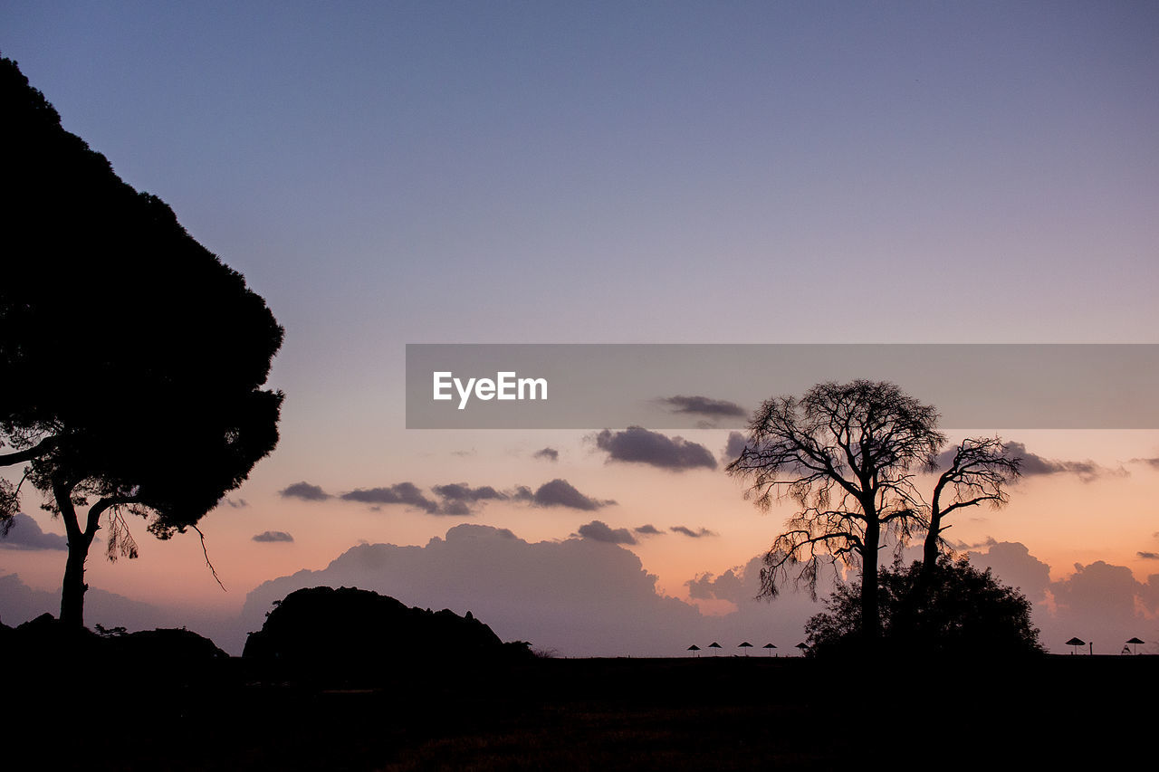 SILHOUETTE TREES ON LANDSCAPE AGAINST SKY