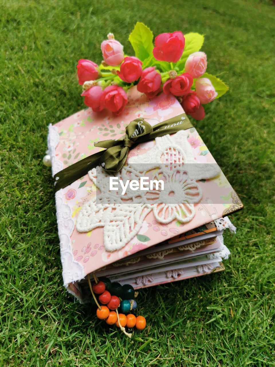 HIGH ANGLE VIEW OF FRUITS ON PLANT IN FIELD