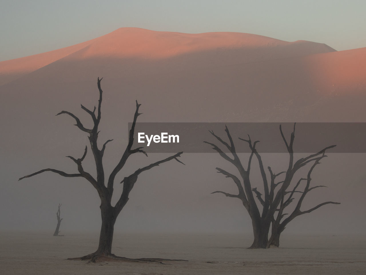 Misty morning sunrise in deadvlei in the desert of namibia