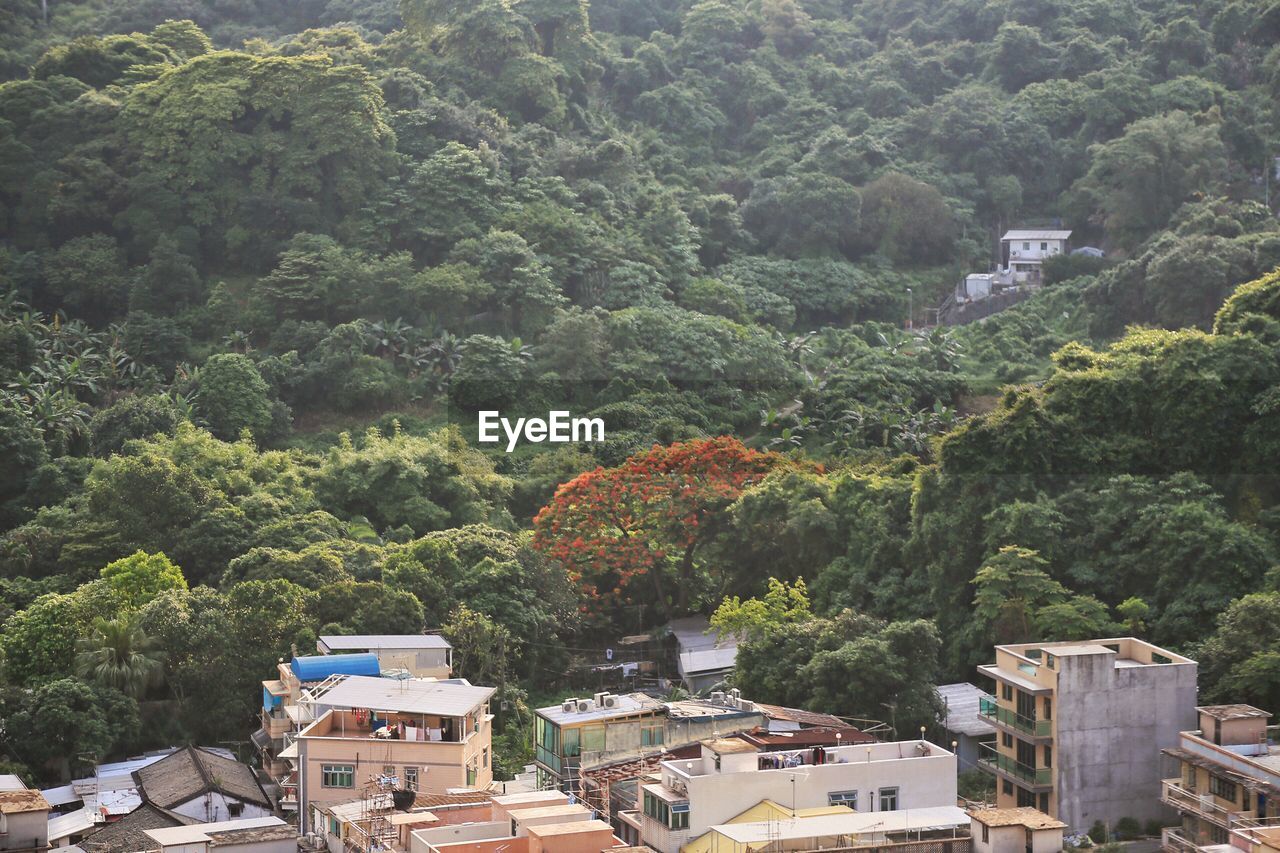 High angle view of houses and trees