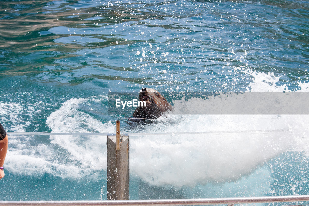 MAN SWIMMING IN POOL AT SEA