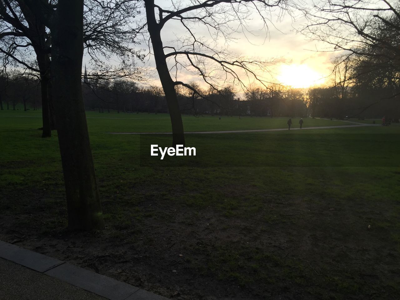 SUNSET OVER GRASSY FIELD