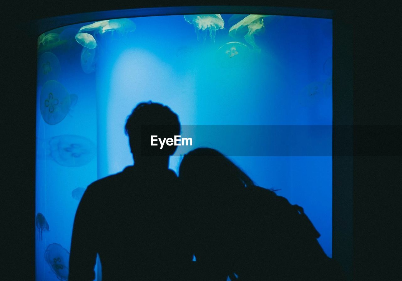 Silhouette couple standing by aquarium