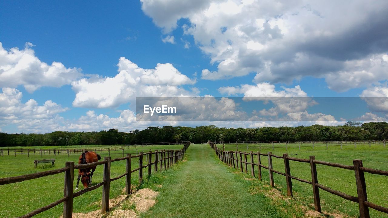 SCENIC VIEW OF FARM AGAINST SKY