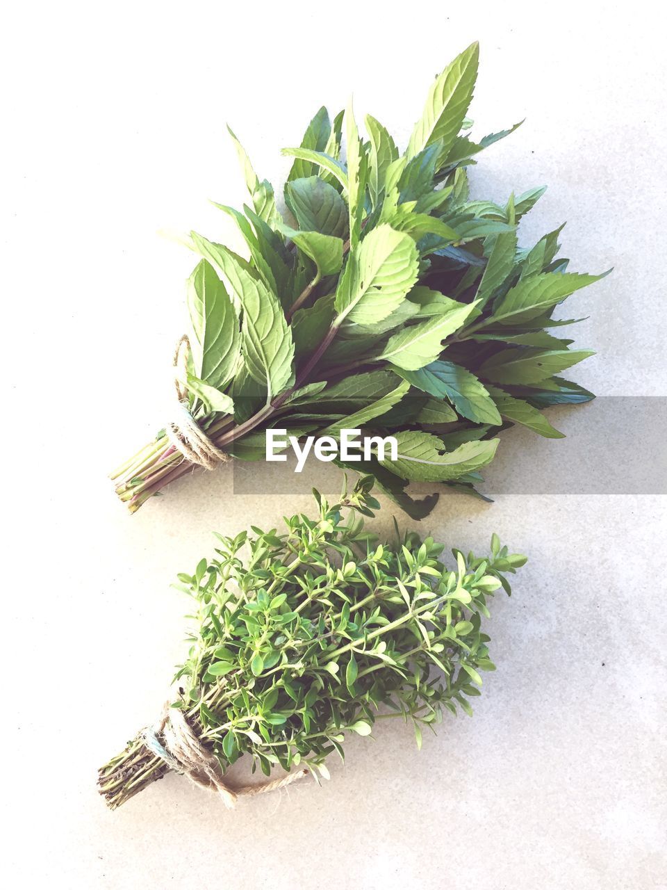 HIGH ANGLE VIEW OF GREEN LEAVES ON TABLE