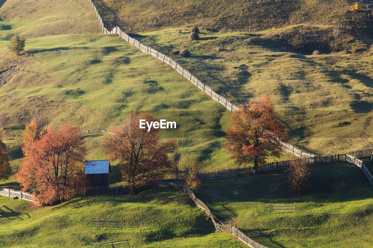 High angle view of trees on field during autumn